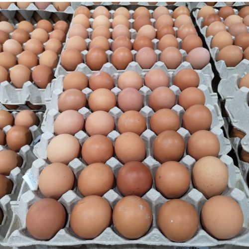 Eggs in Crates